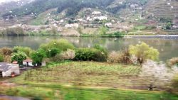 Douro Valley