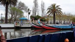 Canal side in Aveiro