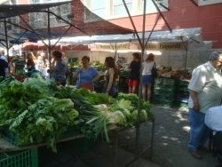 Girona market