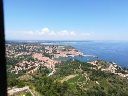 Collioure, view from Fort St, Elme