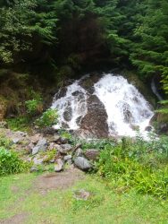 A waterfall in Clunes Forest