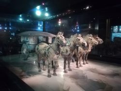 Chariot & exhibition at the Terracotta exhibition