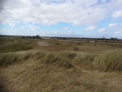 Nature reserve at Walberswick