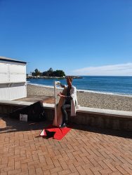 Harpist in Fuengirola