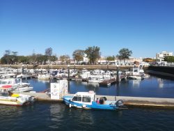 The harbour bay at Olhao