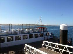 Ferry from Olhao to the island of Culatra 