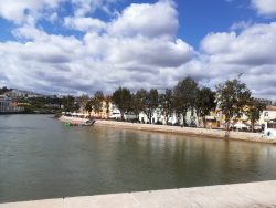 Tavira