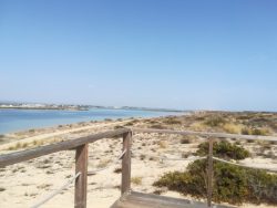 Fuseta, sandy island, part of Parque Natural da Ria Formosa 